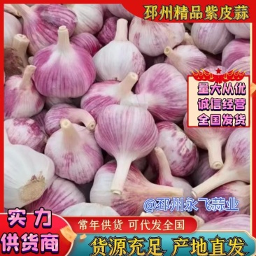 邳州大蒜优质新干蒜紫皮蒜上市中基地直供价格美丽