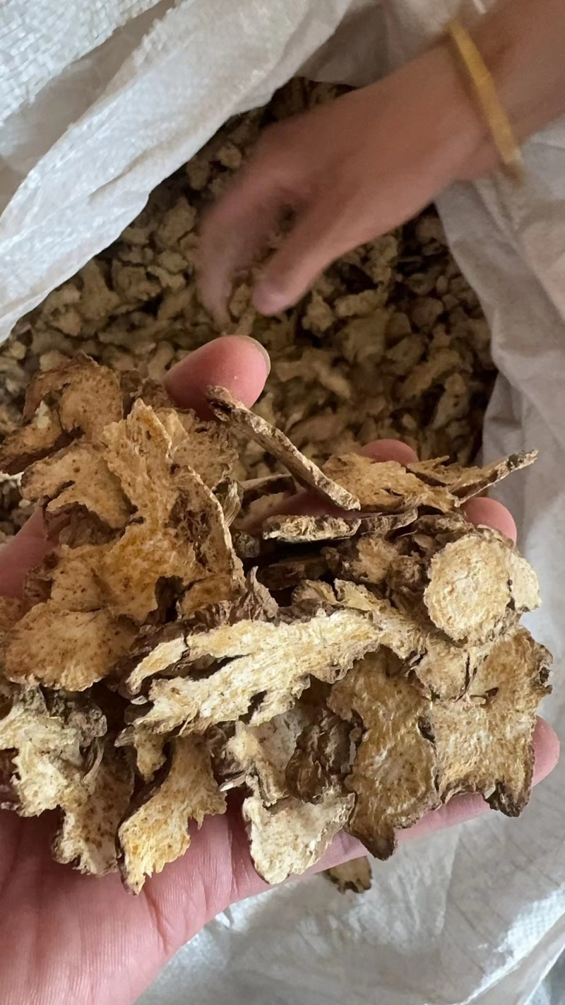 苍术优质苍术大量现货欢迎电联品质保证