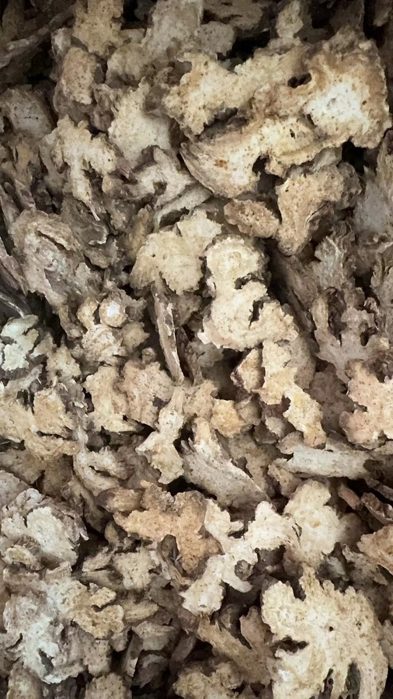 苍术优质苍术大量现货欢迎电联品质保证