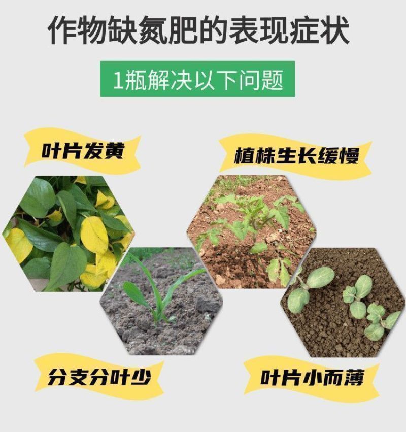 黑金氮螯合液体氮肥茶叶果树玉米小麦水稻蔬菜有机水溶肥