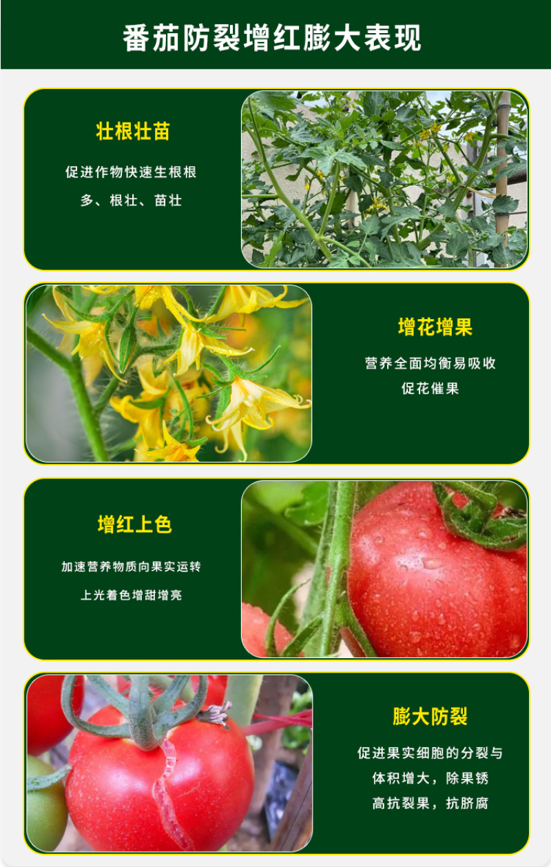 果大果甜肥效持久增产增量防裂增红膨大素番茄肥料