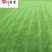 混播草坪价格成都混播草坪基地货源充足量大从优