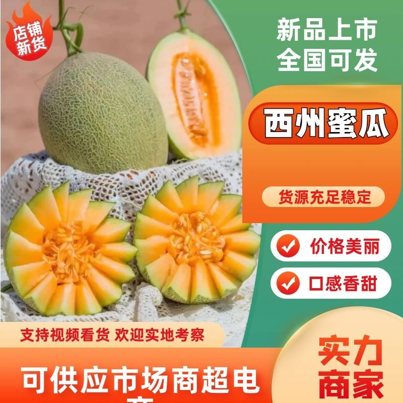 新疆哈密瓜西州蜜瓜货源充足产地直发量大优惠