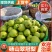 《翠冠梨》安徽砀山梨~现摘现发~规格齐全~电商+批发市场