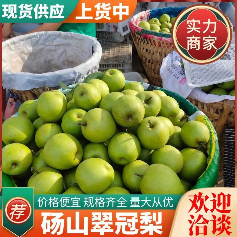 《翠冠梨》安徽砀山梨~现摘现发~规格齐全~电商+批发市场
