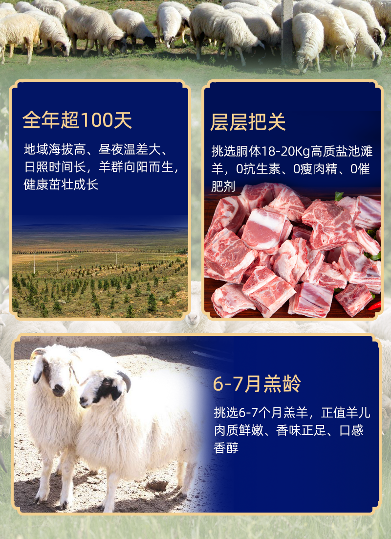 宁夏盐池滩羊上脑肉砖原切无骨羊肉涮火锅羊肉卷餐饮商用冷冻