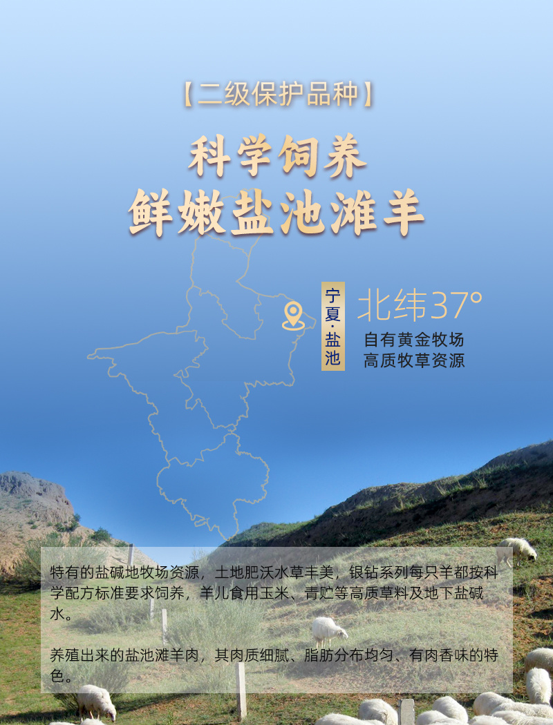 宁夏盐池滩羊后腿肉卷无骨后腿肉新鲜冷冻原切餐饮整卷涮火锅