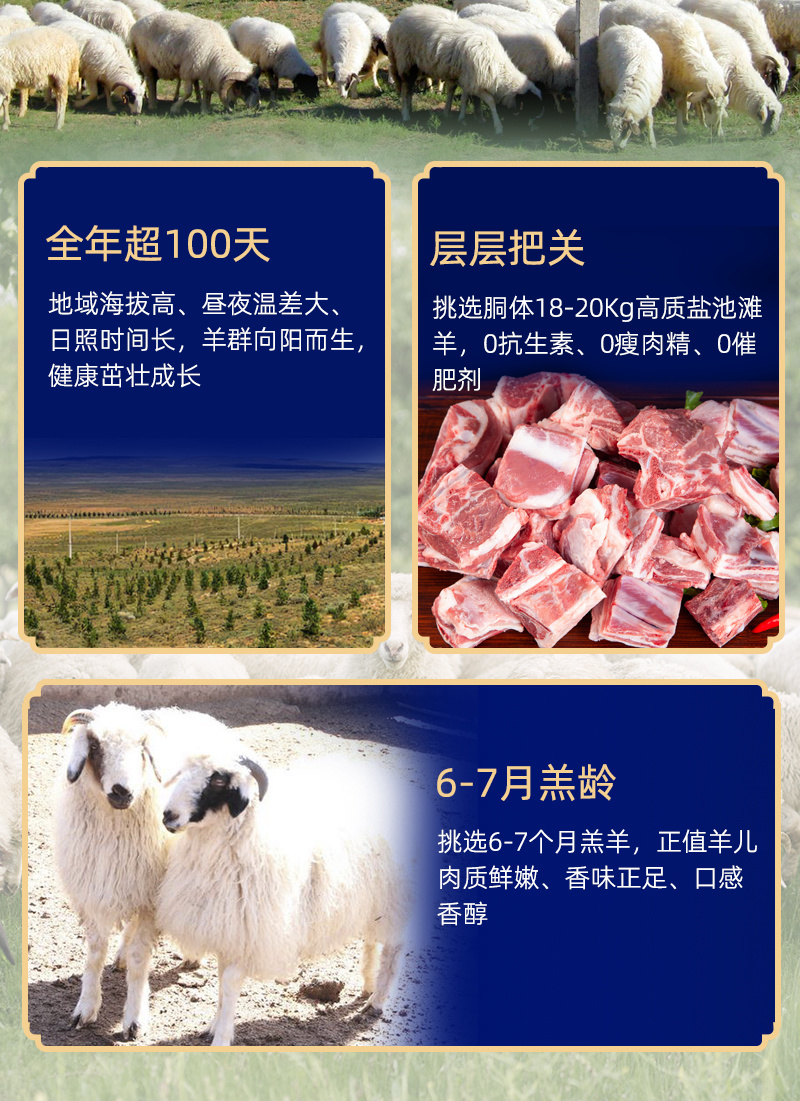 宁夏盐池滩羊后腿肉卷无骨后腿肉新鲜冷冻原切餐饮整卷涮火锅