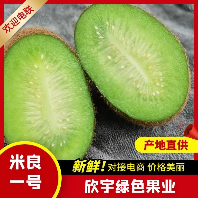 米良一号湘西绿心猕猴桃米良一号，产地直发可接商超电商
