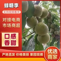 蜂糖李，口感催爽纯甜，大量现货，书上鲜果，现摘现发