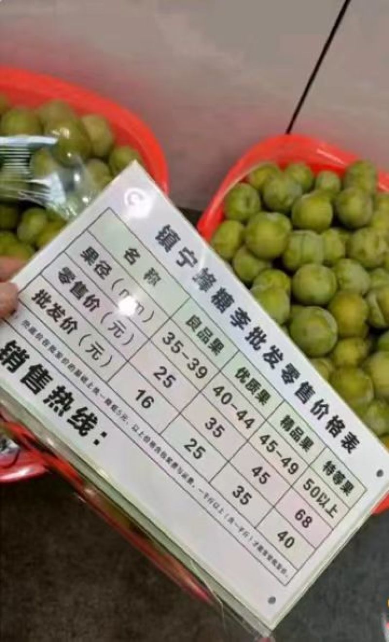 贵州蜂糖李大量有货产地一手货源可视频