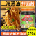 【松茸葱油酱】对接电商餐饮等各类客户批发贴牌代工厂家直发
