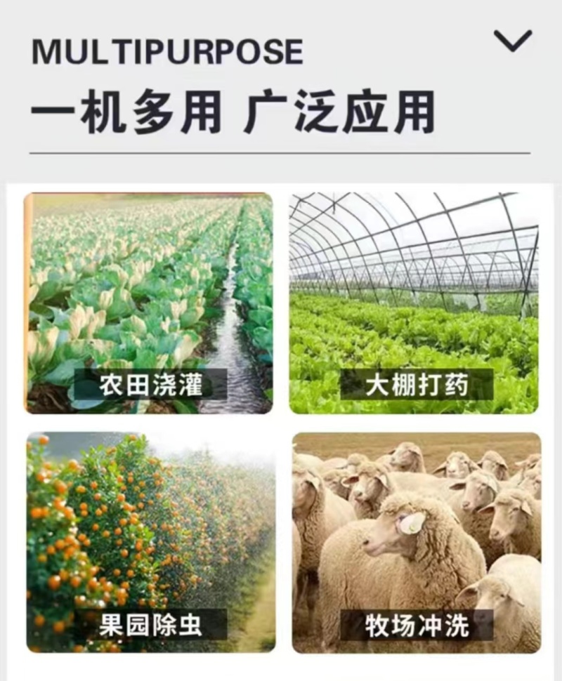 农用高压打药机手推式园林喷雾机汽油养殖场果园农田消毒机器