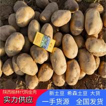 陕北希森6土豆新土豆大货基地直发价格可谈