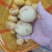 陕西新土豆中货沃土希森实验V7货源充足价格便宜