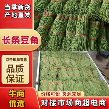 兰陵（缸豆）长豆角大量上市，质量保证一手货源代发全国