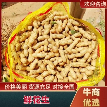 品质鲜花生品质保证欢迎仔细量大从优欢迎咨询