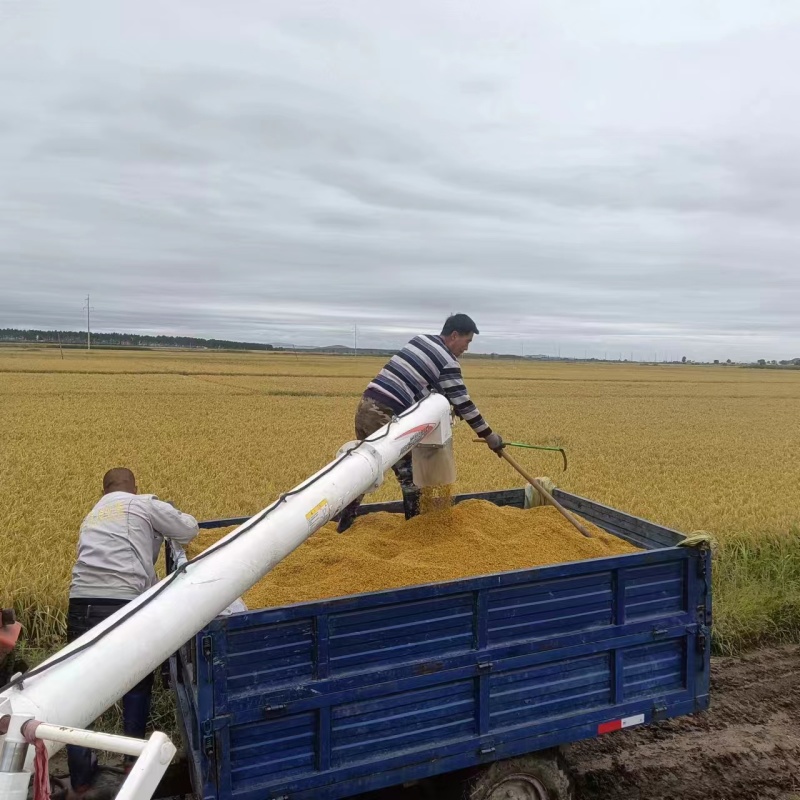 东北长粒香米东北大米农产品现货批发量大从优