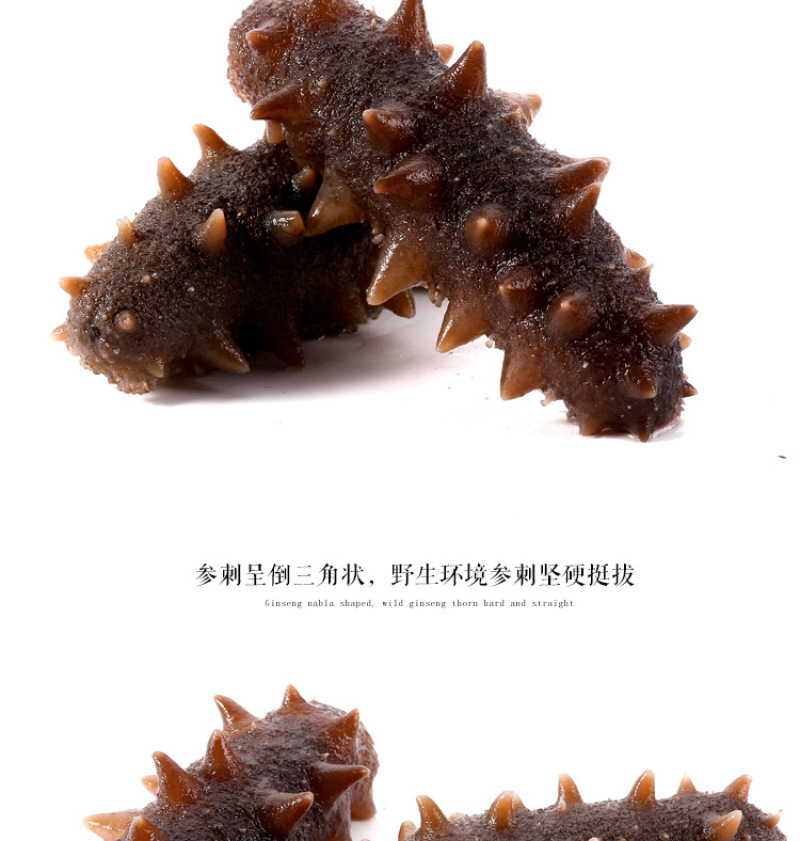 鲜食刺参即食海辽参大连海参厂家供应支持定制加工