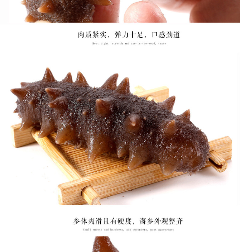 鲜食刺参即食海辽参大连海参厂家供应支持定制加工
