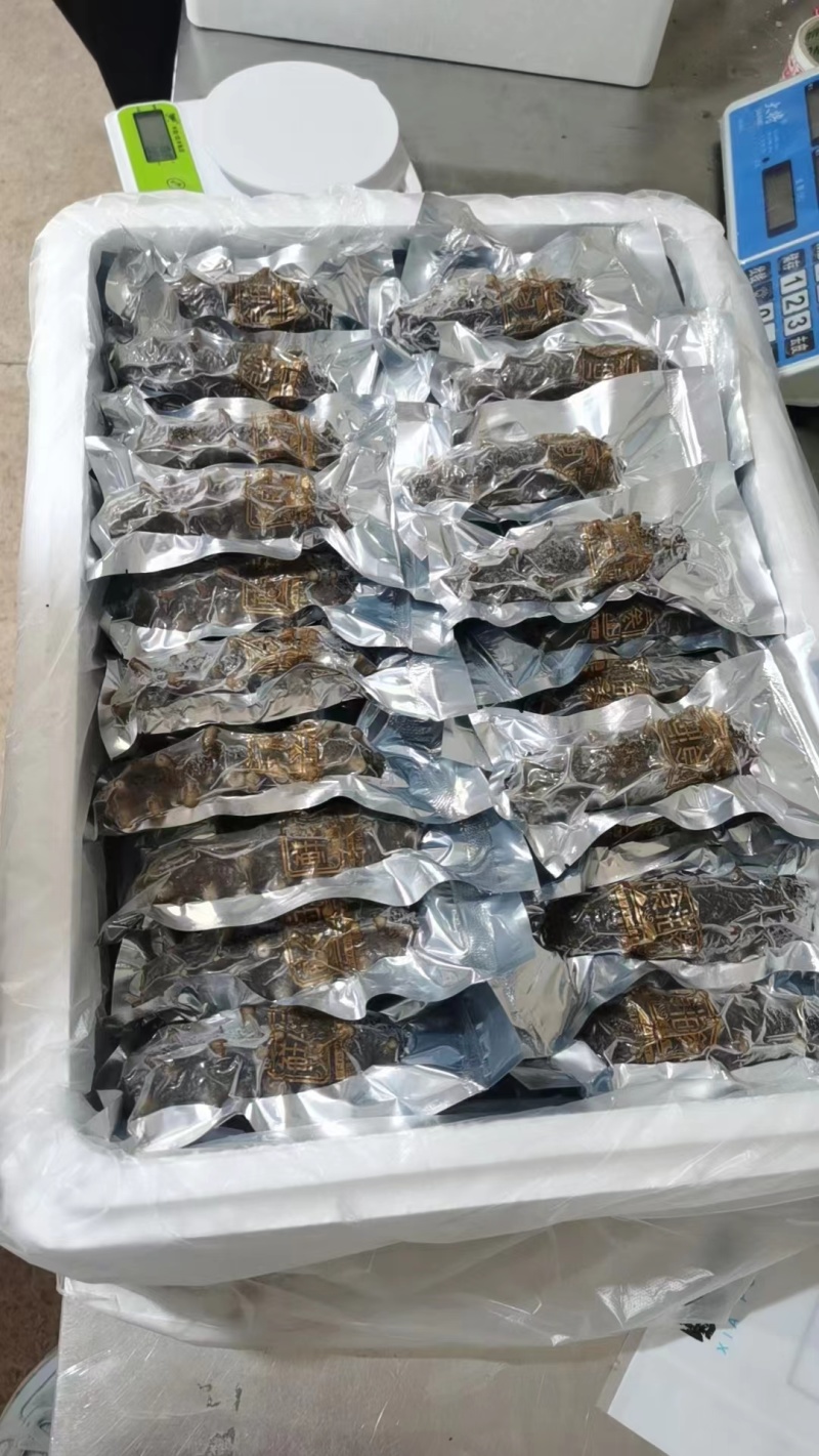 鲜食刺参即食海辽参大连海参厂家供应支持定制加工