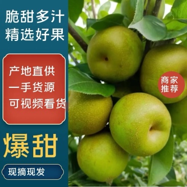 【日常推荐】砀山翠玉梨光果梨皮薄肉厚汁水多量大从优
