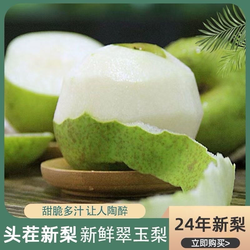 【日常推荐】砀山翠玉梨光果梨皮薄肉厚汁水多量大从优
