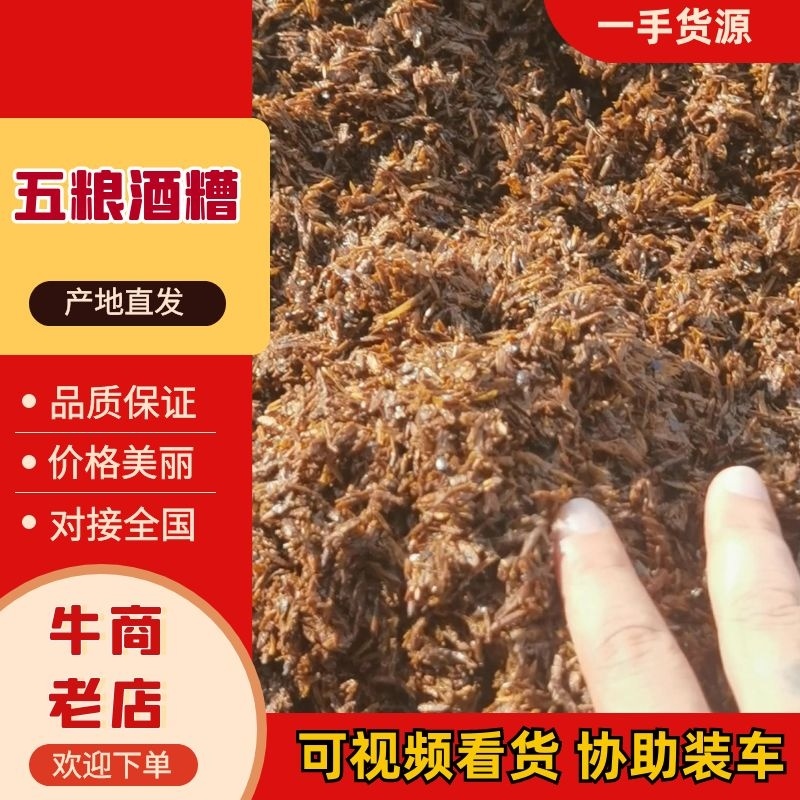 精品五粮干酒糟工厂直发货源充足量大从优欢迎来电
