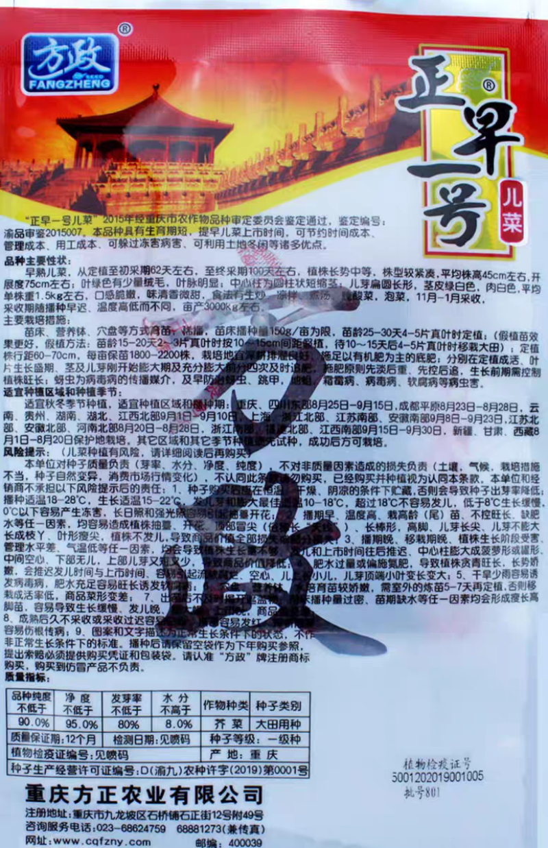 正早一号儿菜种子早熟儿菜茎皮绿肉白秋冬儿菜种子
