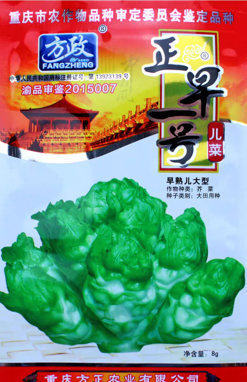 正早一号儿菜种子早熟儿菜茎皮绿肉白秋冬儿菜种子