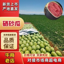 精品硒砂瓜宁夏西瓜现摘现发甜度高耐运输货源充足