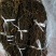 【精品】脱水长豆角干豆角质量保证一手货源欢迎订购