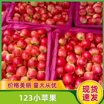 123小苹，123小苹果，辽宁省主产区货源充足