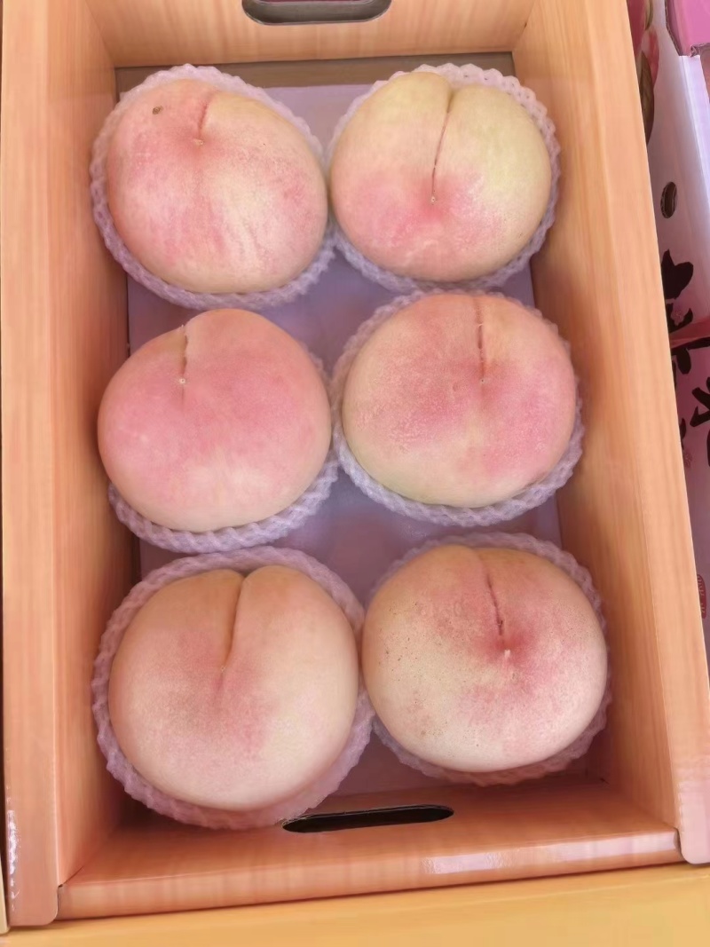 上海水蜜桃大量上市,周边对接市场，商超，工厂需要的联系我