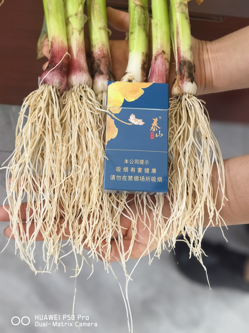 生根液肥料厂家直销保质保量价格实惠欢迎咨询