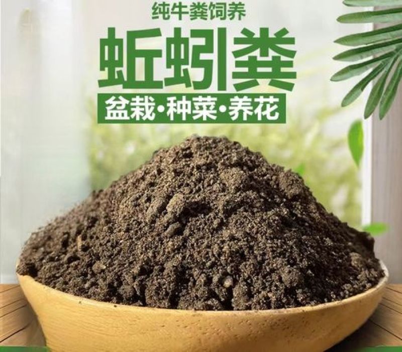 厂家直销牛粪养殖拱土蚯蚓粪育苗底肥
