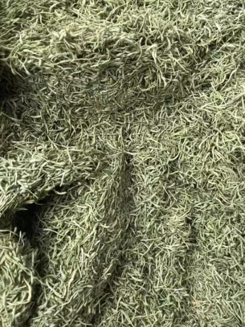 金银花茶礼品包装，产地直销