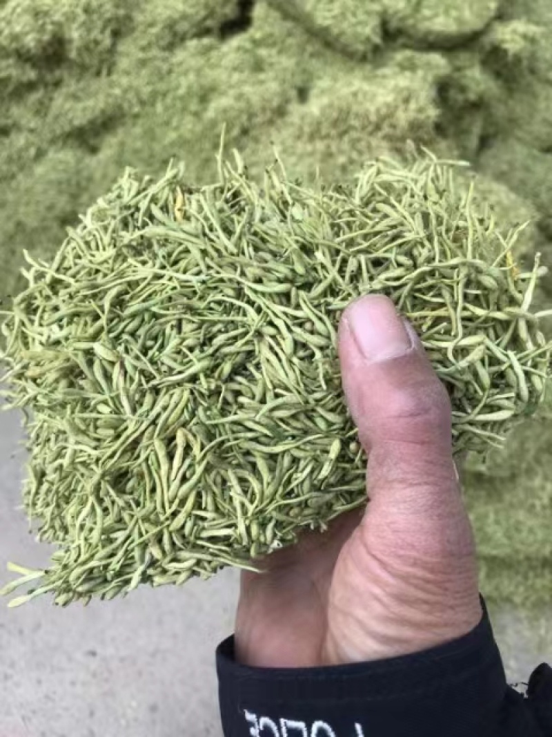 金银花茶礼品包装，产地直销