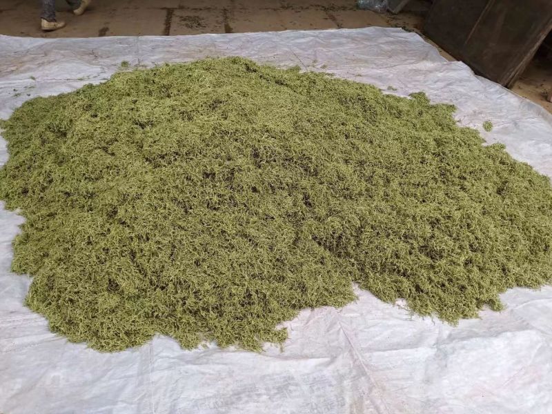 金银花茶礼品包装，产地直销