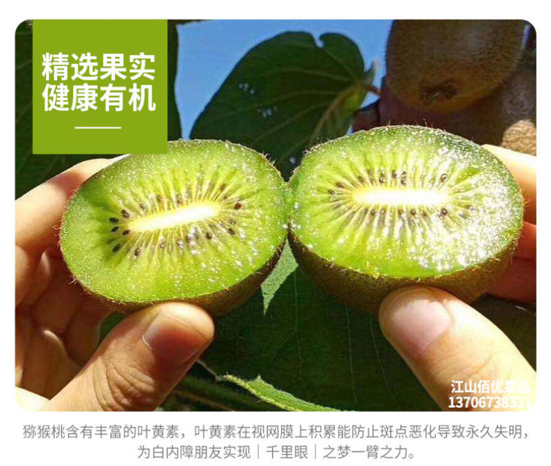 江山徐香猕猴桃果园直发当天上午采摘下午发货可一件代发