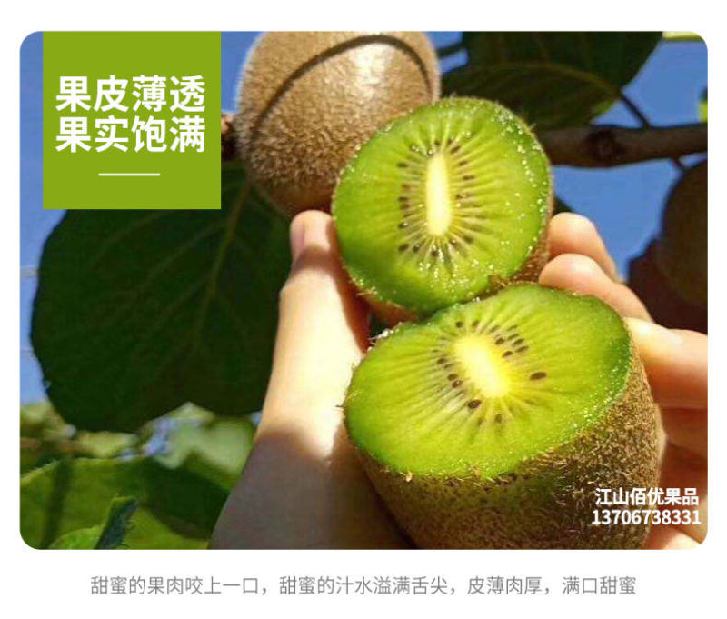 江山徐香猕猴桃果园直发当天上午采摘下午发货可一件代发