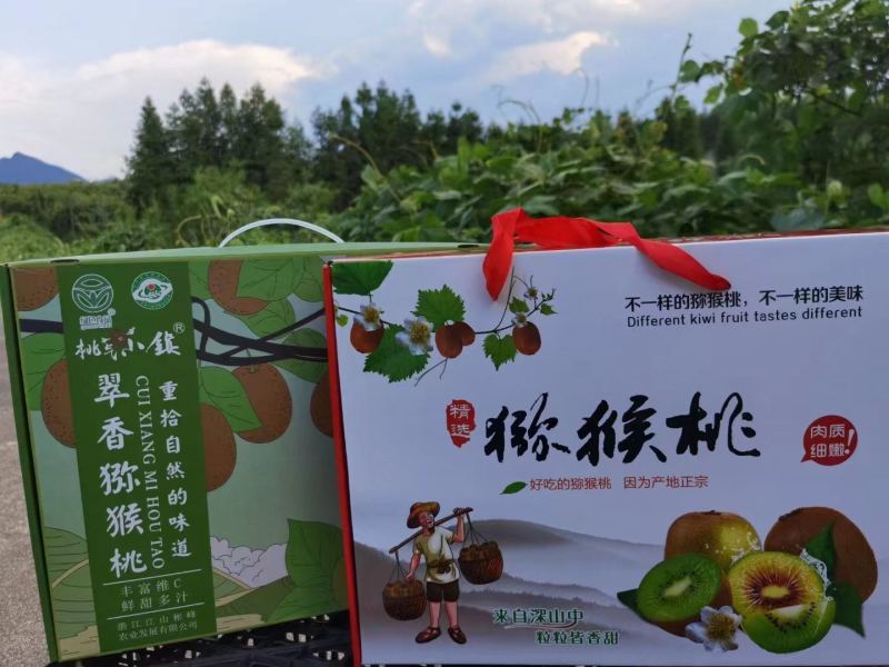 江山翠香猕猴桃果园直发当天上午采摘下午发货可一件代发