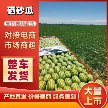 【优选】西瓜宁夏硒砂瓜大量供应中保质保量量大从优