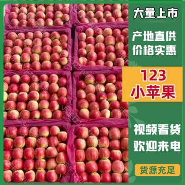 辽宁123小苹果基地，即将上市一手货源支持代发全国市场