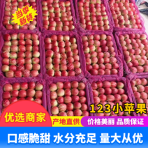 【123苹果】辽宁苹果大量供货一手货源支持全国市场