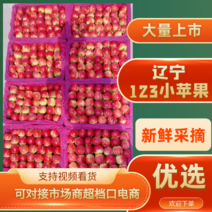 辽宁苹果123苹果自然熟的大量上市，产地供货，一手货源