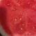 【优选】湖北精品西瓜黑无籽西瓜-产地直发价优代发全国欢迎