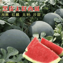 【优选】湖北精品西瓜黑无籽西瓜-产地直发价优代发全国欢迎