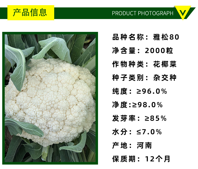 青梗松花菜种子耐热80天春秋播种花椰菜种籽抗热小米粒散