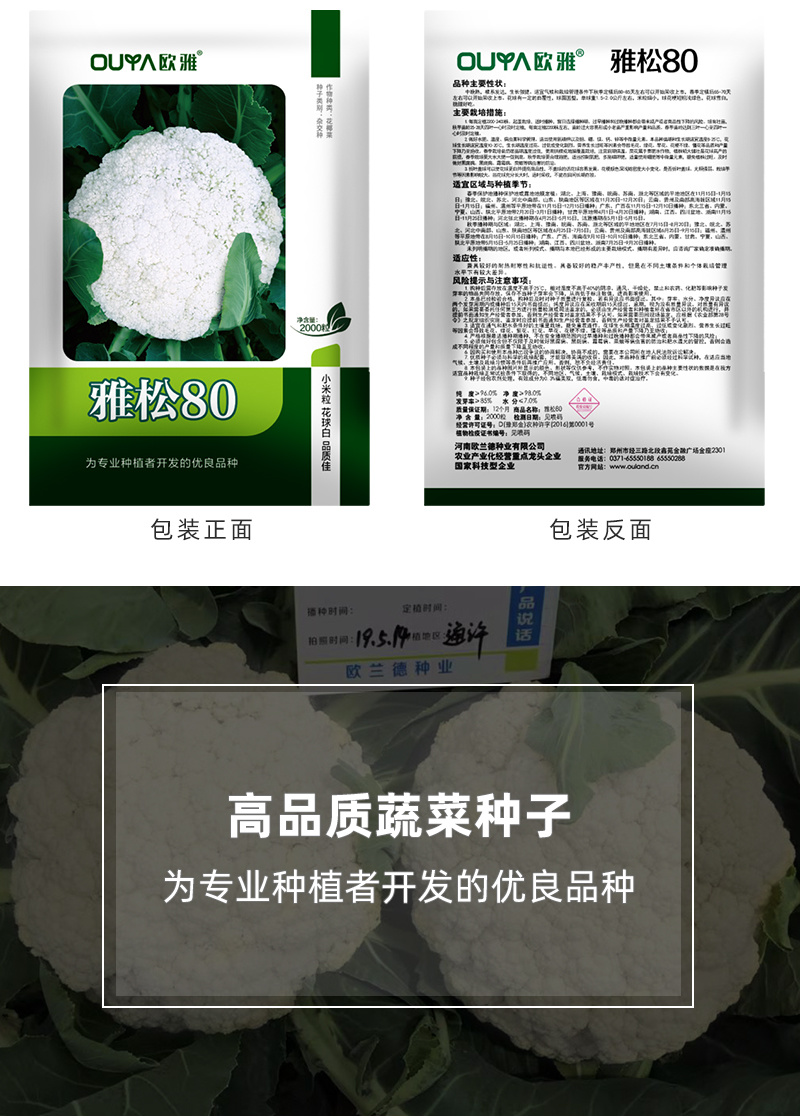 青梗松花菜种子耐热80天春秋播种花椰菜种籽抗热小米粒散